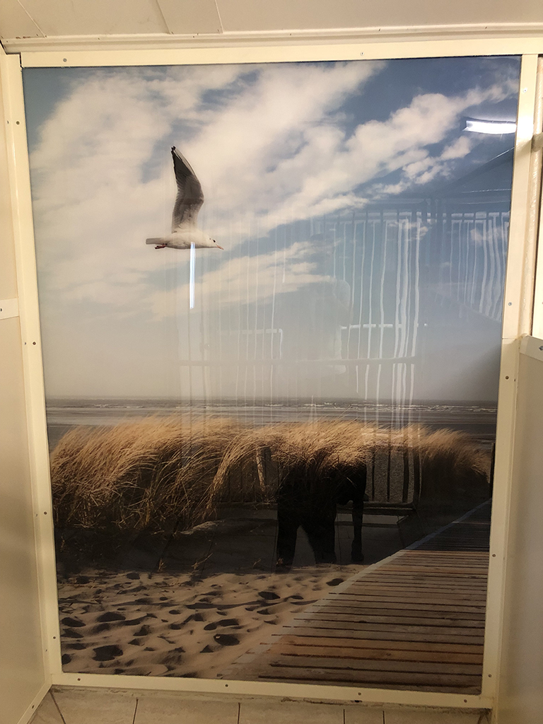 pension pour chien photo voyage